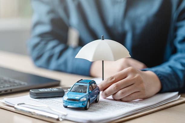 Reliable Basement Mold Remediation contractor in North Arlington, NJ by Auto Insurance quotes USD